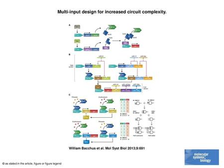 Multi‐input design for increased circuit complexity.