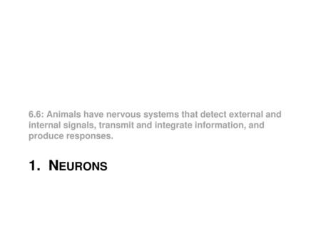 6.6: Animals have nervous systems that detect external and internal signals, transmit and integrate information, and produce responses. 1. Neurons.