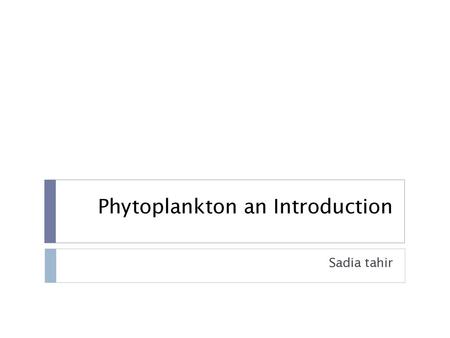 Phytoplankton an Introduction