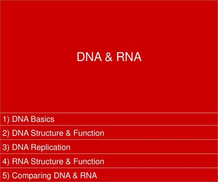 DNA & RNA 1) DNA Basics 2) DNA Structure & Function 3) DNA Replication