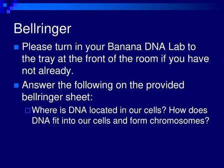 Bellringer Please turn in your Banana DNA Lab to the tray at the front of the room if you have not already. Answer the following on the provided bellringer.