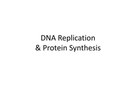 DNA Replication & Protein Synthesis