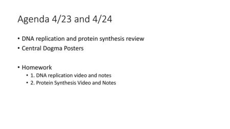 Agenda 4/23 and 4/24 DNA replication and protein synthesis review