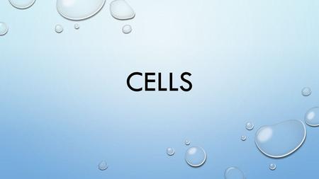 Cells.