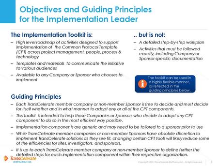 Objectives and Guiding Principles for the Implementation Leader