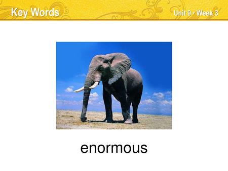 enormous Key Words Unit 9 ● Week 3 TEACHER TALK