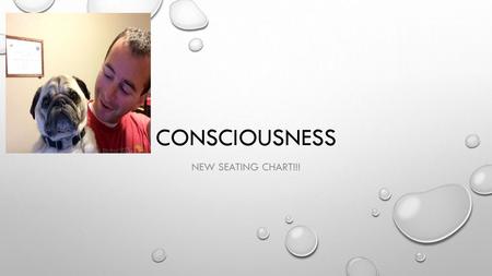 Consciousness NEW SEATING CHART!!!.