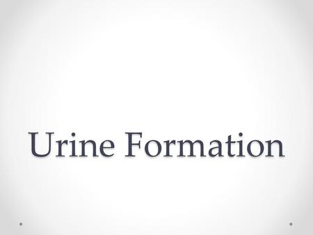 Urine Formation.