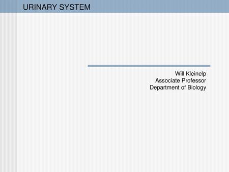 URINARY SYSTEM Will Kleinelp Associate Professor Department of Biology.