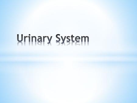 Urinary System.