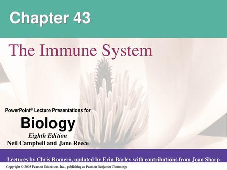 Chapter 43 The Immune System.