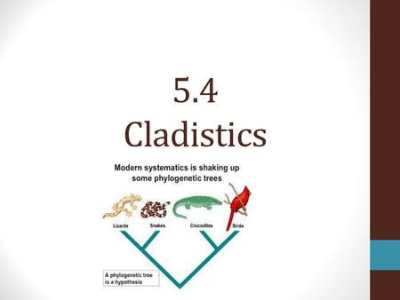 5.4 Cladistics.