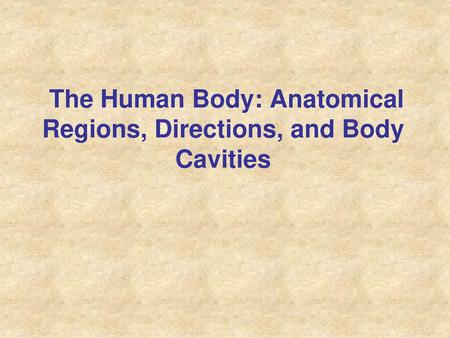 The Human Body: Anatomical Regions, Directions, and Body Cavities