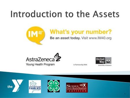 Introduction to the Assets