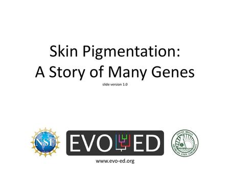 Skin Pigmentation: A Story of Many Genes