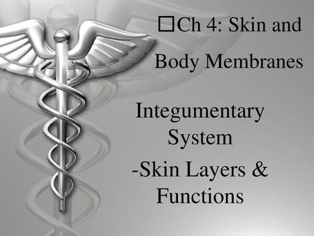  Ch 4: Skin and Body Membranes