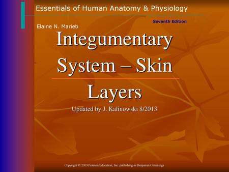 Integumentary System – Skin Layers Updated by J. Kalinowski 8/2013