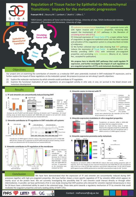 Epithelial-to-Mesenchymal Transitions Circulating Tumor Cells