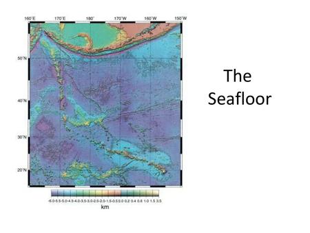 The Seafloor.