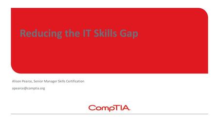 Reducing the IT Skills Gap