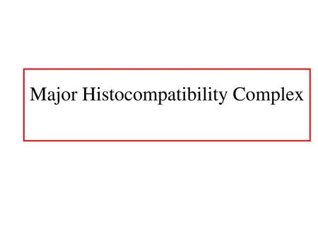 Major Histocompatibility Complex