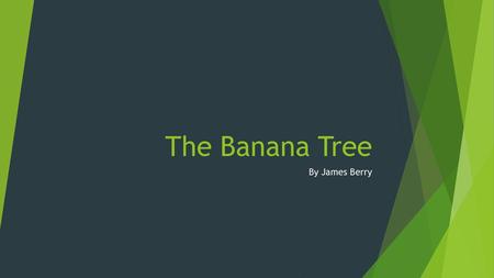 The Banana Tree By James Berry.