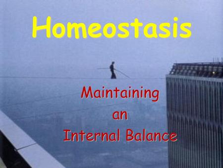 Maintaining an Internal Balance