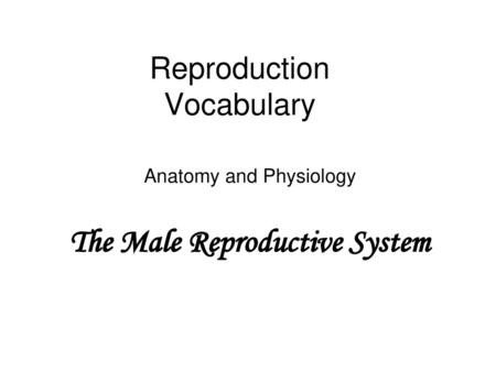 Reproduction Vocabulary