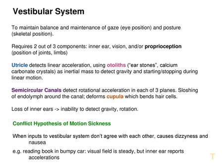 Vestibular System To maintain balance and maintenance of gaze (eye position) and posture (skeletal position). Requires 2 out of 3 components: inner ear,