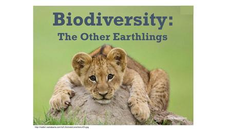 Biodiversity: The Other Earthlings