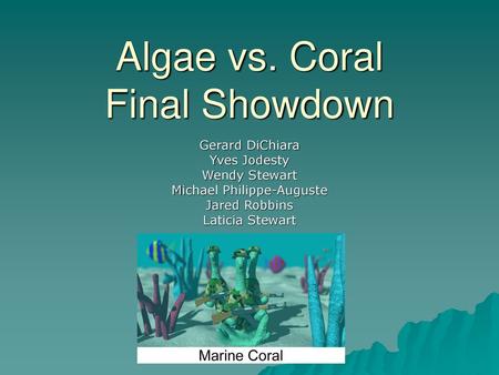 Algae vs. Coral Final Showdown