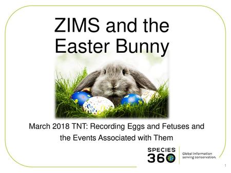 ZIMS and the Easter Bunny