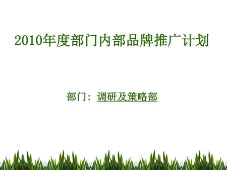 2010年度部门内部品牌推广计划 部门: 调研及策略部.