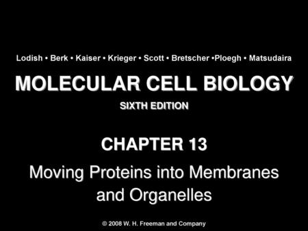 MOLECULAR CELL BIOLOGY © 2008 W. H. Freeman and Company