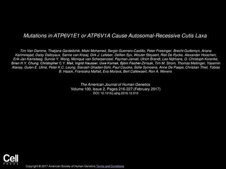 Mutations in ATP6V1E1 or ATP6V1A Cause Autosomal-Recessive Cutis Laxa