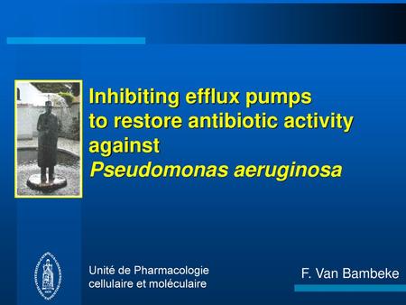 Inhibiting efflux pumps to restore antibiotic activity against Pseudomonas aeruginosa Unité de Pharmacologie cellulaire et moléculaire F. Van Bambeke.