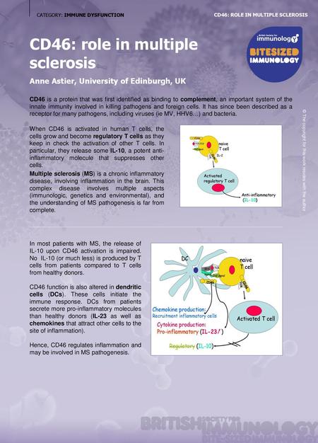 CD46: role in multiple sclerosis