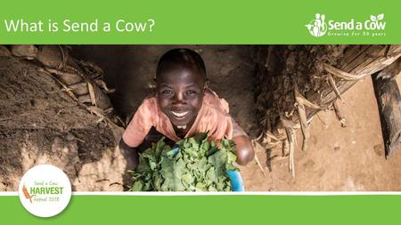 What is Send a Cow? Send a Cow is a charity that helps people in Africa to grow their own food, so that they can feed themselves and their families. When.