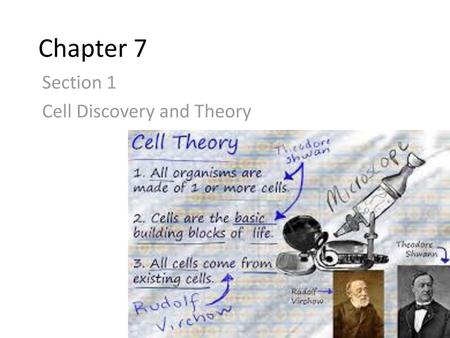 Section 1 Cell Discovery and Theory