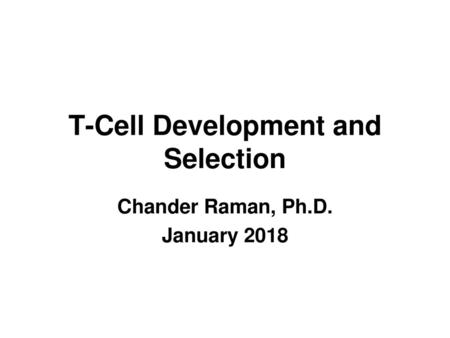 T-Cell Development and Selection