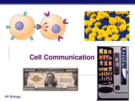 Cell Communication.