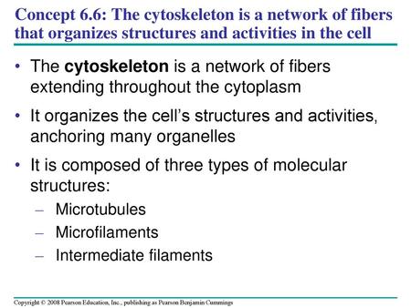 It is composed of three types of molecular structures: