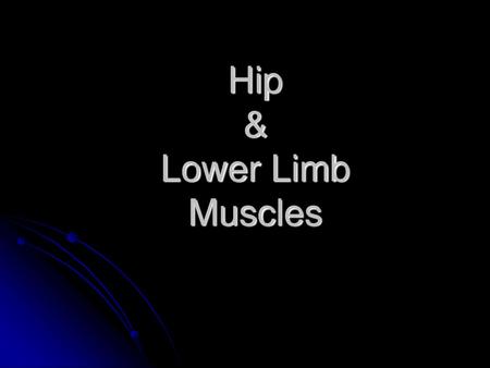 Hip & Lower Limb Muscles