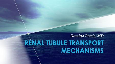 Renal tubule transport mechanisms