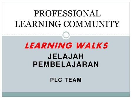 PROFESSIONAL LEARNING COMMUNITY