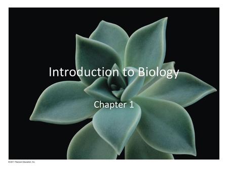 Introduction to Biology