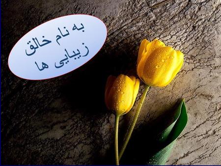 به نام خالق زیبایی ها.