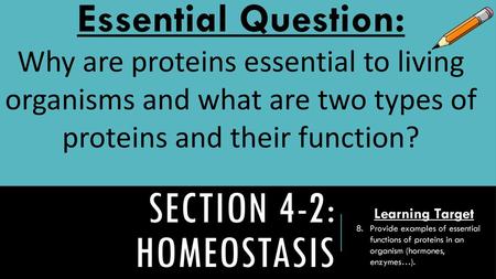 Section 4-2: Homeostasis