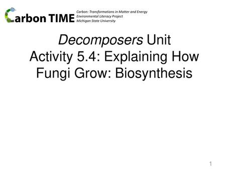 Decomposers Unit Activity 5.4: Explaining How Fungi Grow: Biosynthesis