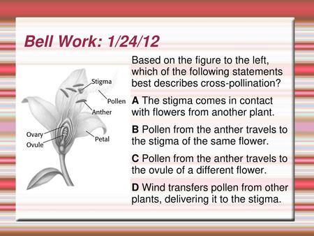 Bell Work: 1/24/12 Based on the figure to the left, which of the following statements best describes cross-pollination? A The stigma comes in contact.